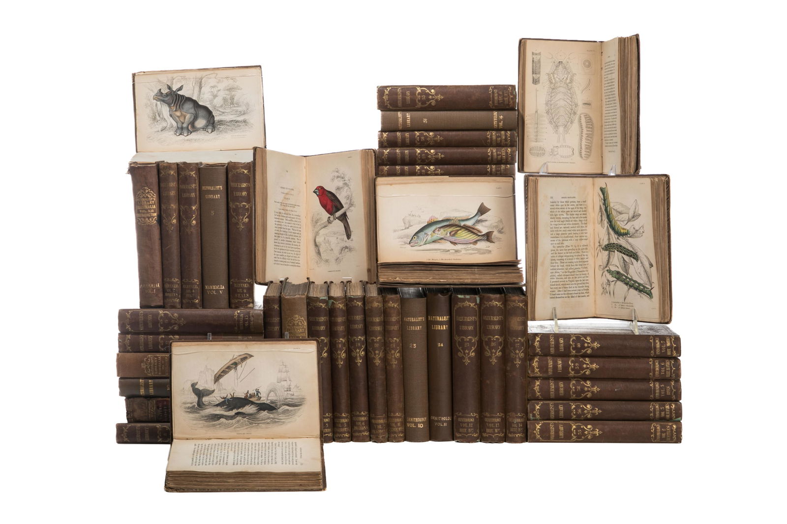 THE NATURALIST'S LIBRARY, MIXED SET (39 VOLS) (1 of 8)