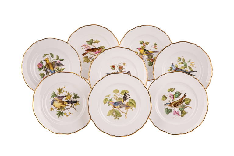 Seventeen Spode English Porcelain Bird Plates