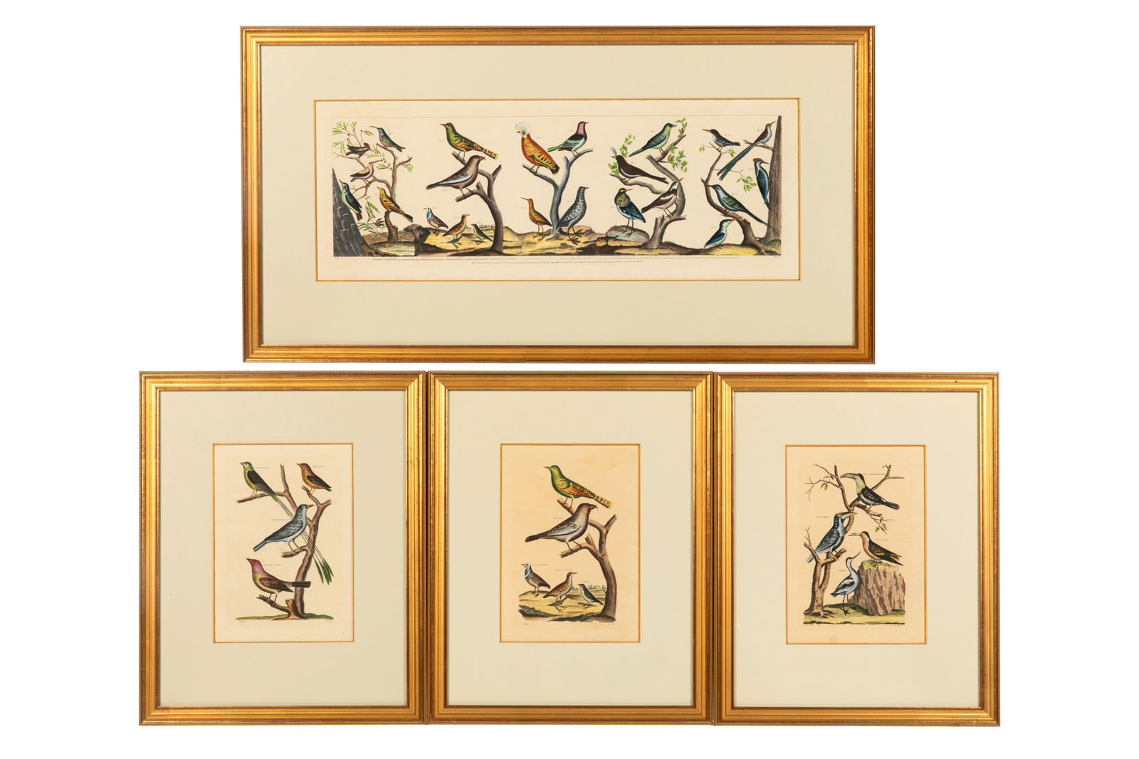 FOUR HAND COLORED FRENCH PRINTS DEPICTING BIRDS (1 of 7)
