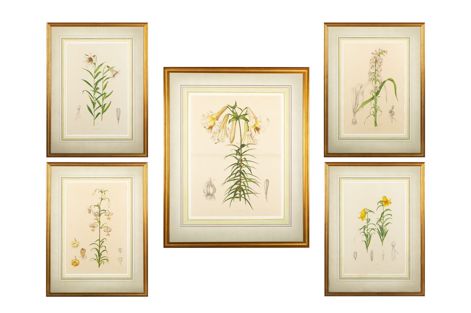 AFTER LILIAN SNELLING (British, 1879-1972) (1 of 16)