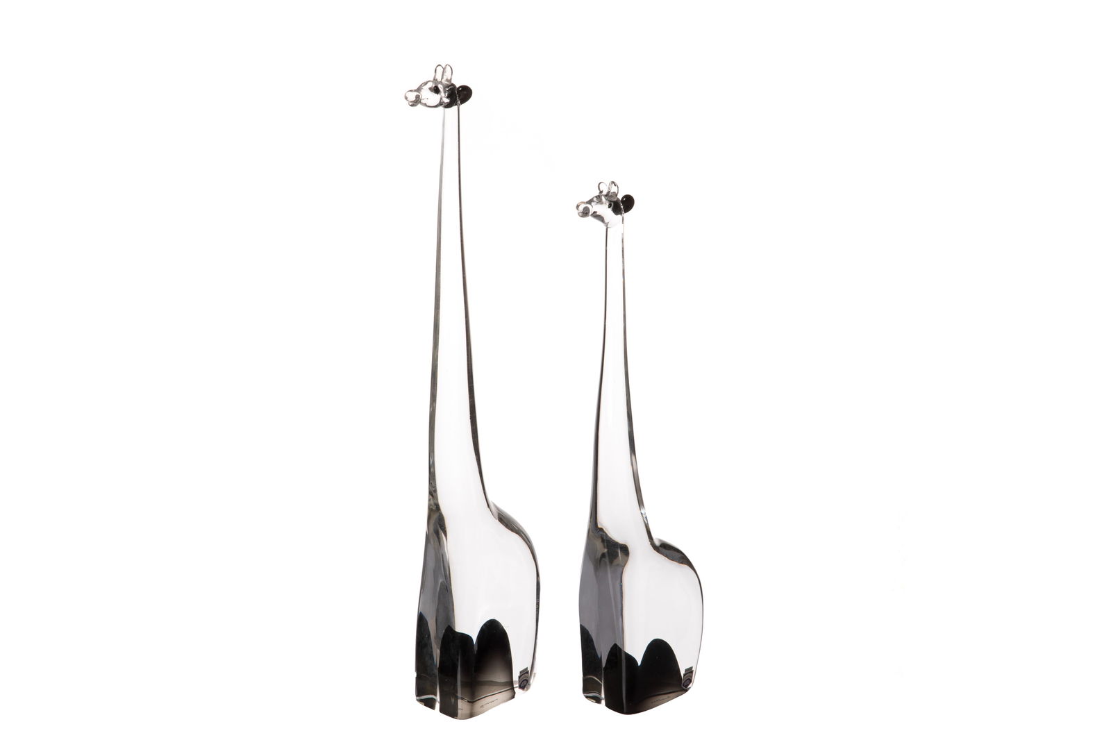 PAIR OF CENEDESE MURANO GLASS GIRAFFES: Pair of hand-blown Murano glass giraffes in graduated sizes by Cenedese & Co. designed by Antonio Da Ros. In a transparent glass with elongated necks, pinched faces, and stylizedbodies. Signed 'Cenede