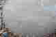 item-17189238=3