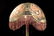CHINESE SILK KESI IMPERIAL BADGES AS LAMPSHADE - 2