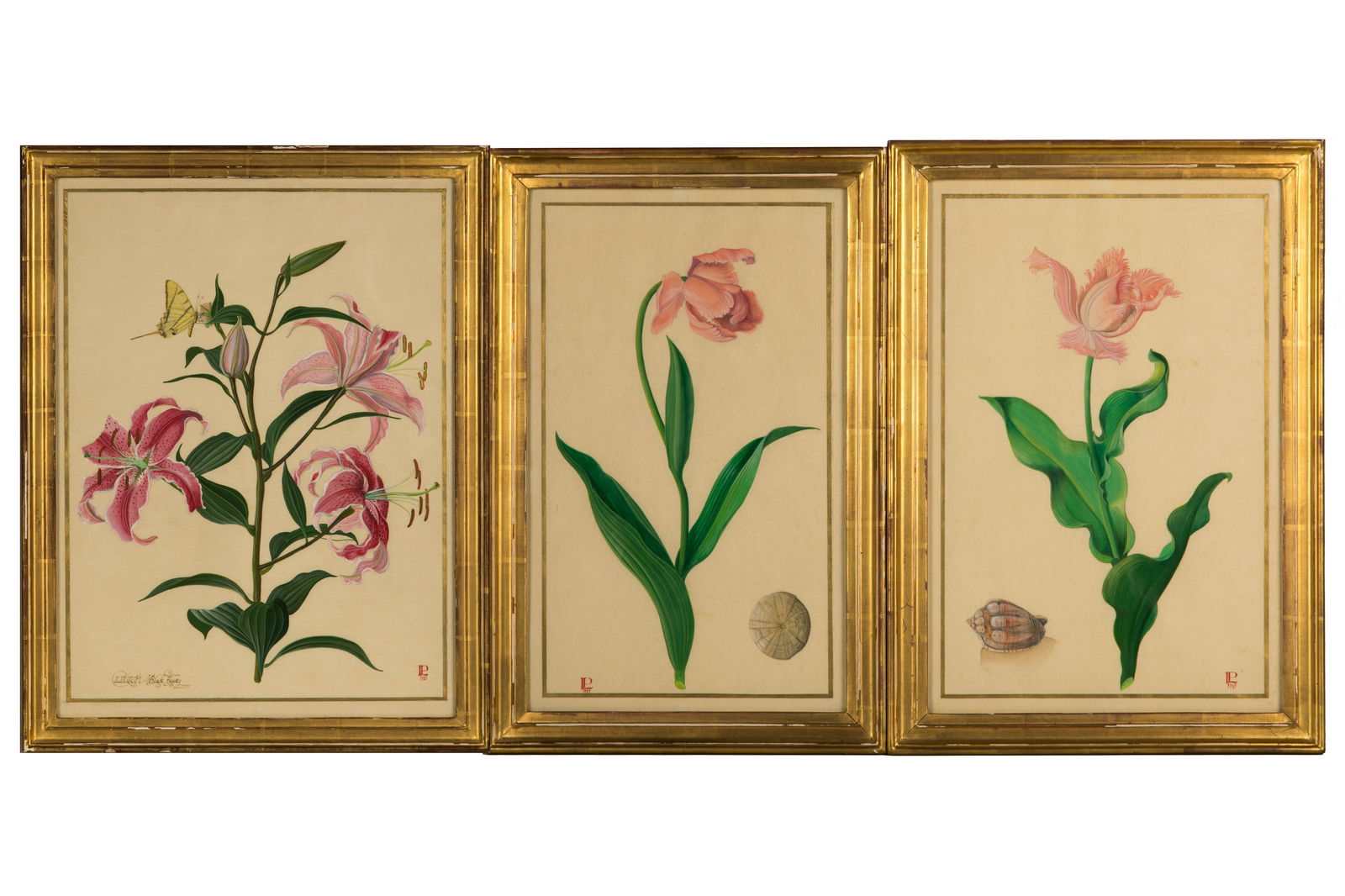 THREE 18th C STYLE BOTANICAL DRAWINGS (1 of 3)