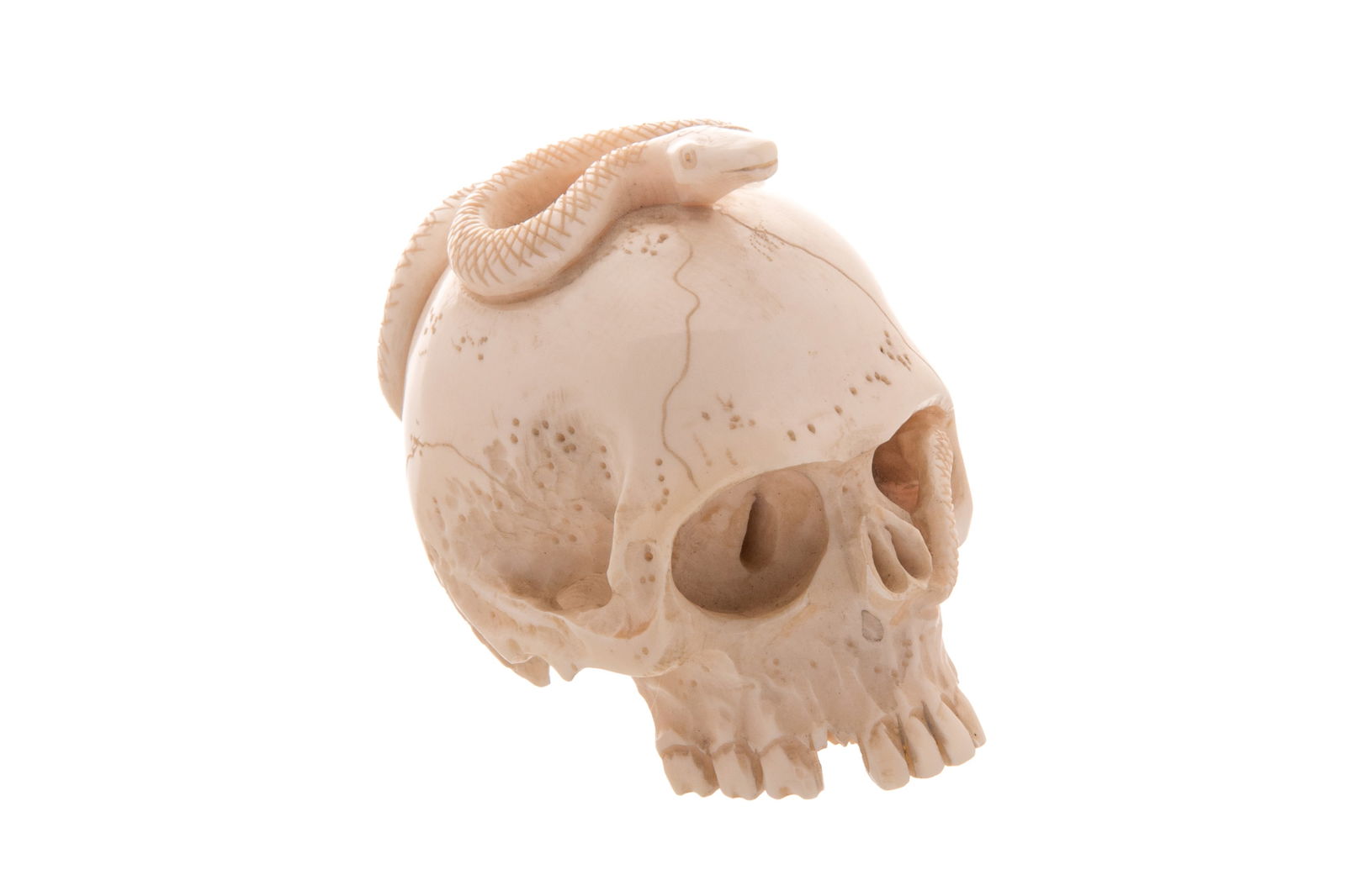 NATURALLY CARVED MEMENTO MORI SKULL (1 of 6)