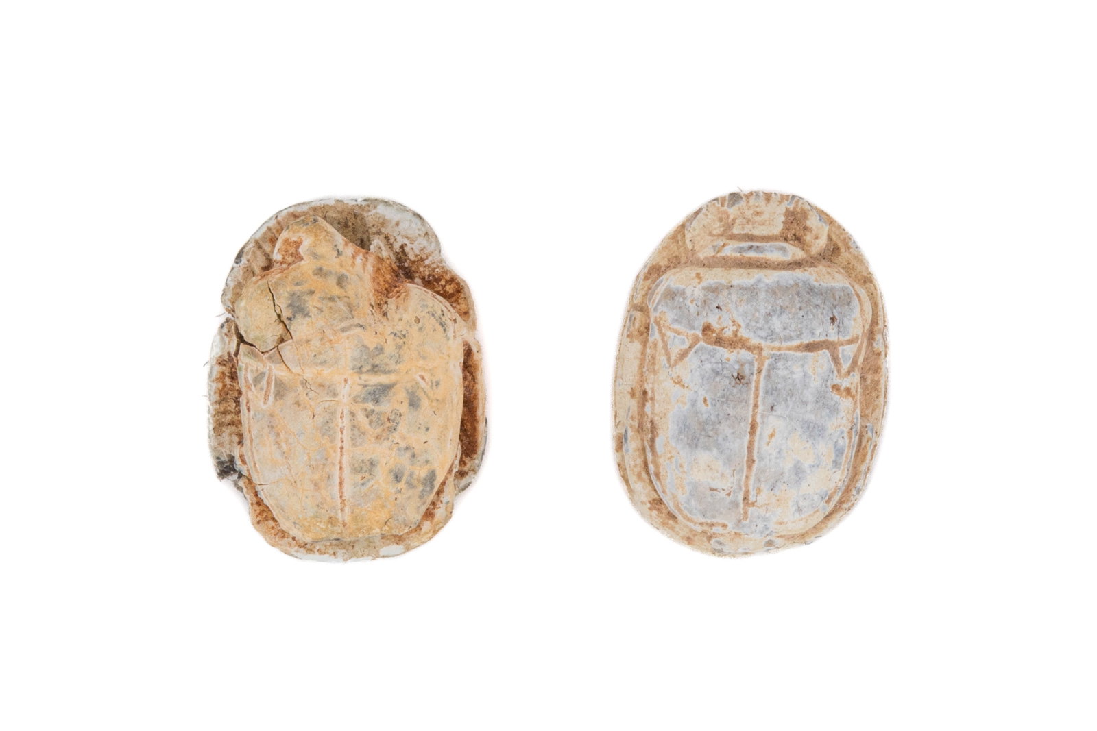 TWO ANCIENT STEATITE SCARABS OF AN IBIS AND ANUBIS: One ancient Egyptian scarab featuring the sacred African Ibis, the zoomorphic form of Thoth, god of cosmic order, wisdom, and writing. This often symbolized rebirth alongside divine knowledge. The sec