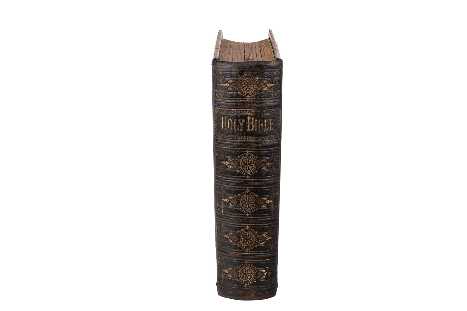 LEATHER BOUND BROWN'S FAMILY BIBLE (1 of 1)