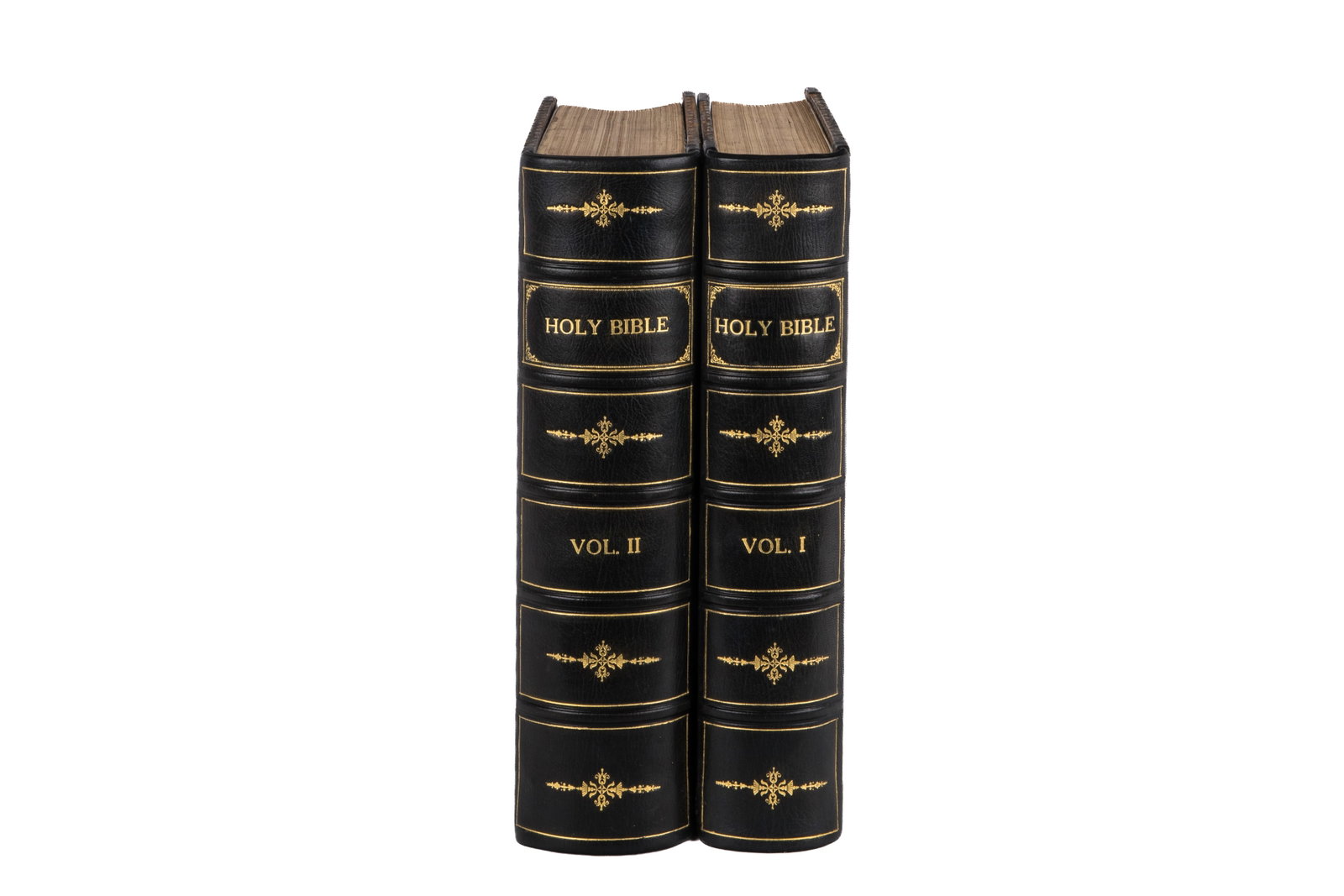TWO LEATHER BOUND VOLUMES OF THE HOLY BIBLE (1 of 1)