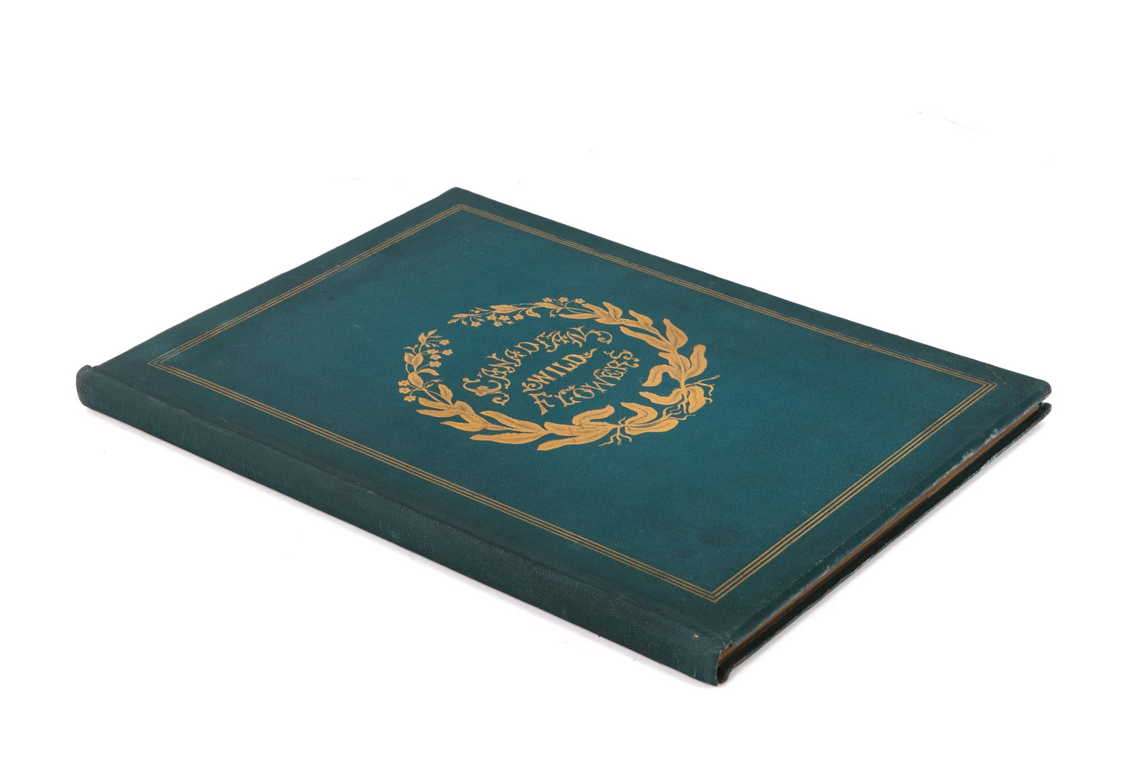 FITZGIBBON & TRAILL. CANADIAN WILDFLOWERS (SIGNED) (1 of 6)