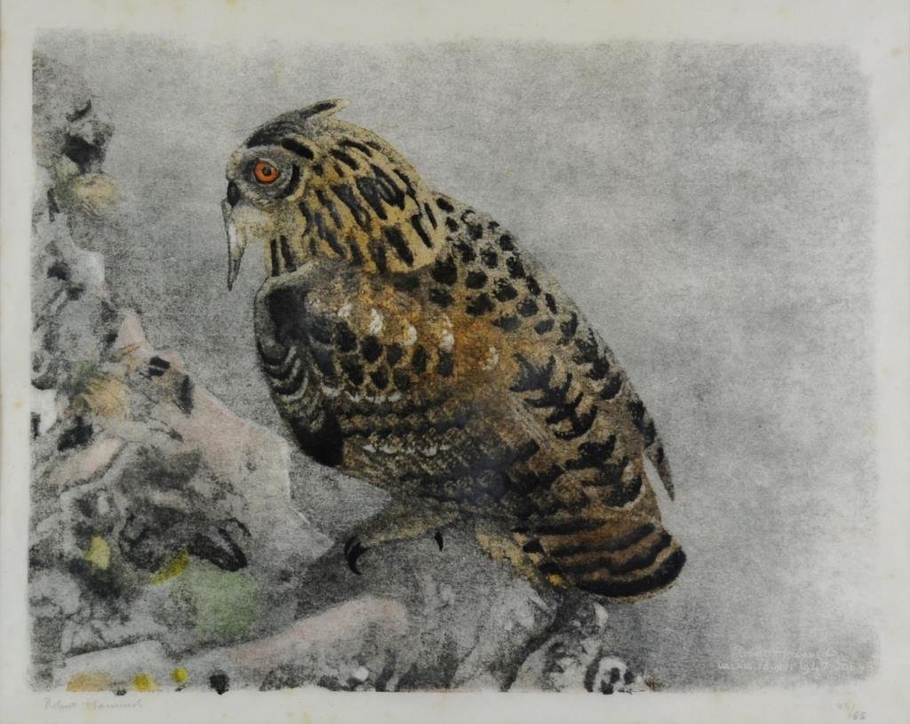 Robert Hainard (Switzerland 1906 - 1999): Long-Eared Owl Coloured Woodcut on Japanese Paper signed lower left and signed in plate and dated 1947 lower right. Numbered 43/65 11 x 14 in.