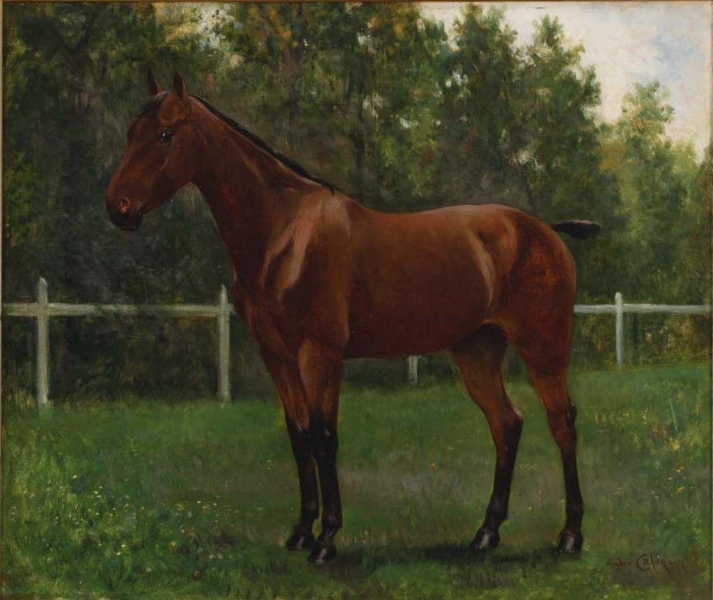 Andre Colin (French 19th cen): Untitled: Portrait d'un cheval Signed lower right Oil on canvas 18" x 21" Galerie Bernard Desroches label verso
