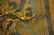 MONUMENTAL PAIR OF GILT BRONZE WALL SCONCES - 4