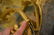 MONUMENTAL PAIR OF GILT BRONZE WALL SCONCES - 6