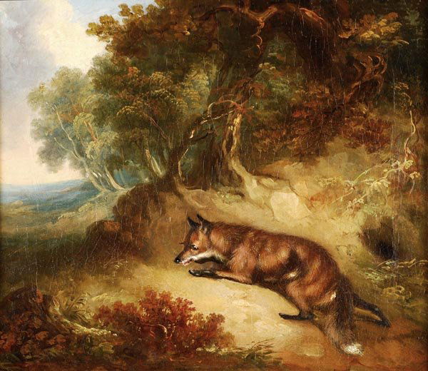 George Armfield (1808-1893) A fox in a wooded land: George Armfield (1808-1893) A fox in a wooded landscape, oil on canvas, 30 x 35cm (11 3/4 x 13 3/4in)(1)