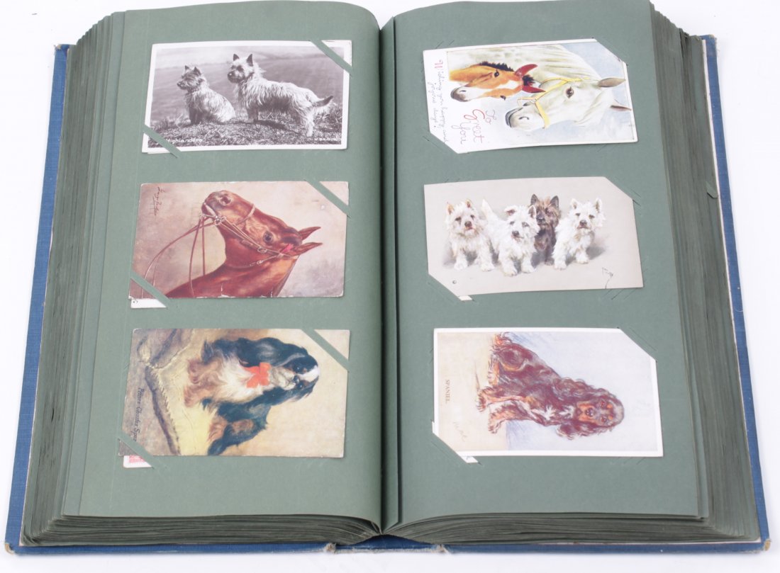 Postcards - Approximately 370 cards, most of equi