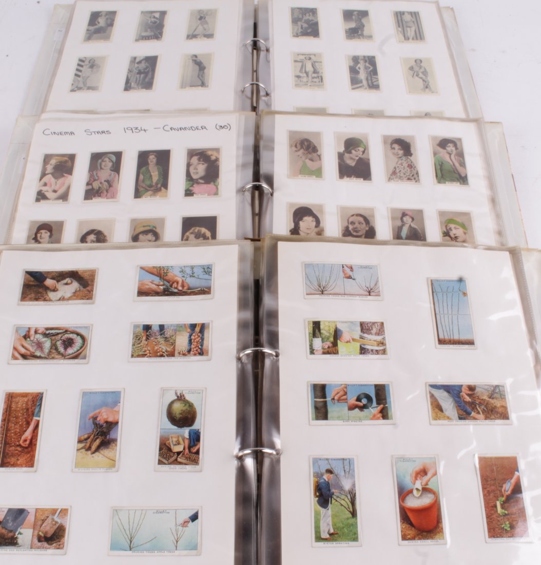 Cigarette cards - Carreras, 'Orchids', 1925, good