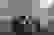item-83088251=2