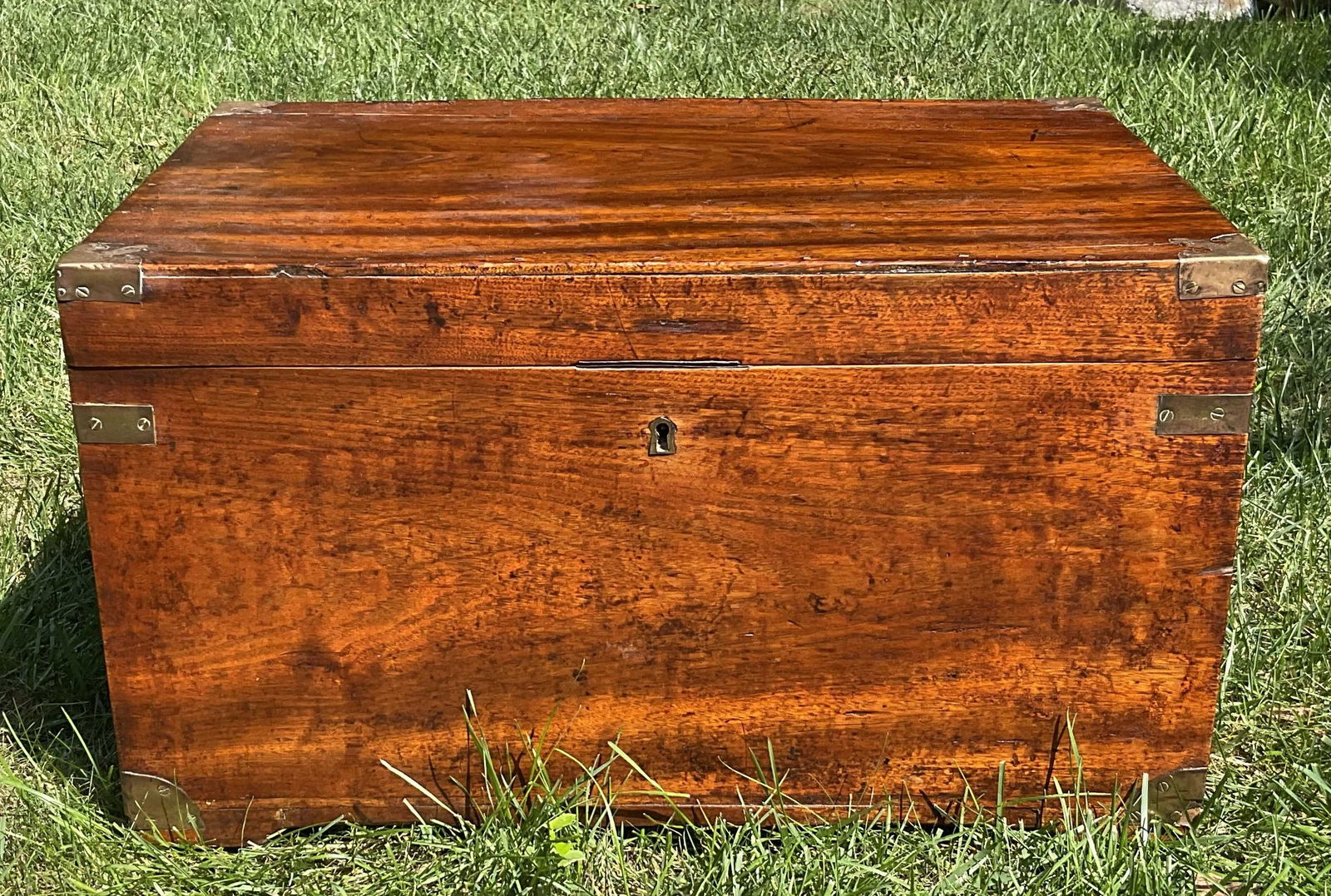 Camphor Wood Sea Chest With Brasses (1 of 8)