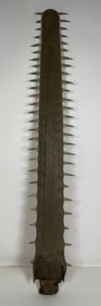 Sawfish Bill Forty Two Inches Long