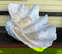 item-207091649=4