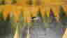 item-20653854=3