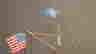item-24450781=4