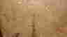 item-24451013=6