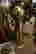 item-40106022=4