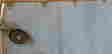 item-48862728=9