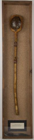 Framed Native American Shaman Ceremonial Staff: Turtle shell shaker with sides wrapped in hide surmounts a staff covered in hide and accented with several bands of colorful beads, matted description card mounted inside frame below staff reads "Medi