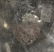 Lot of English & American Silver Plate - 3