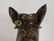 Huey & Anne Wheeler Stoneware Mule Face Jug - 4
