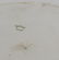 Lot of Haviland, Nippon, Cut Glass Saucer - 5