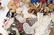 Large Lot of Dolls & Doll Clothes - 6