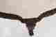 item-133963311=11