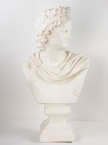Plaster Bust of Apollo Belvedere (1 of 6)