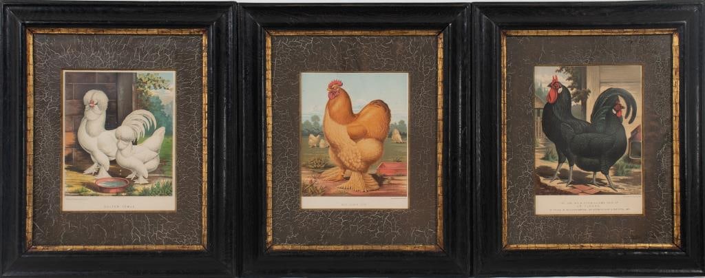 3 Framed Lithographs Cassell's Poultry Book (1 of 9)