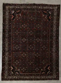 Persian Rug, 4'6"W, 6'3"L