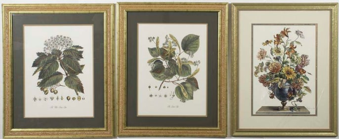 3 Framed Botanical Prints, One Pair & Single