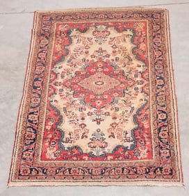 Persian Rug, 4'2"W, 6'8"L