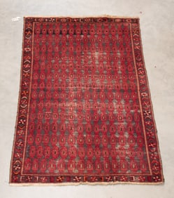 Persian Rug, 4'2"W, 6'8"L