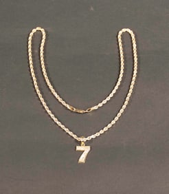 14kt Yellow Gold Rope Chain Necklace & Pendant