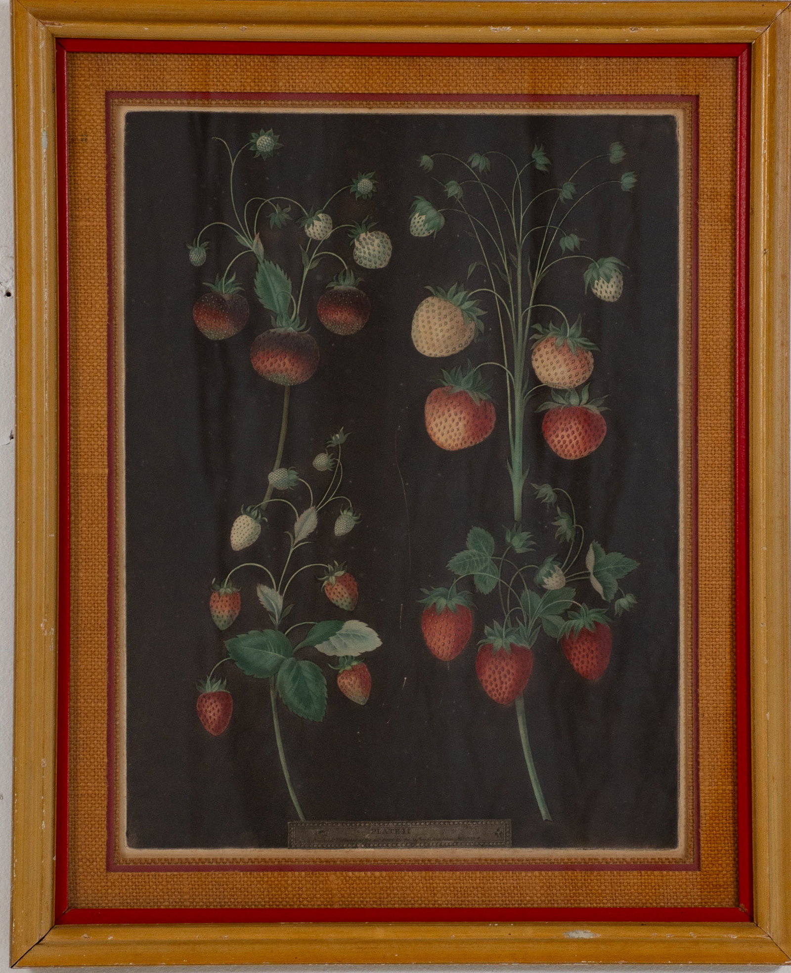 George Brookshaw (1751-1823) (1 of 3)