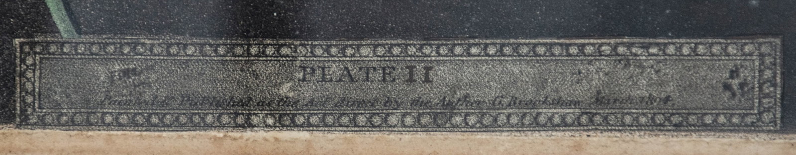 George Brookshaw (1751-1823) - 3