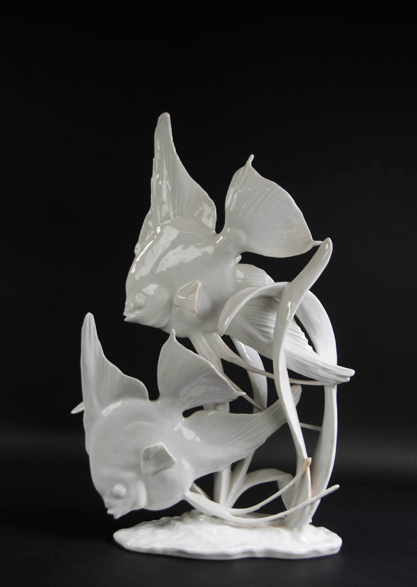 Large Porcelain Angelfish Group Sculpture: Qualifies for in-house shipping---White porcelain, signed on base "F. Heidenreich", marked on underside for Rosenthal; approx. 10 1/2"W, 16"H; repair to tip of one ventral fin on lower