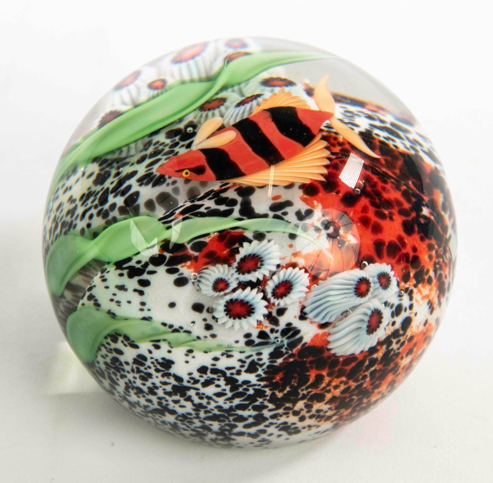 Scott Beyers, Orient & Flume Paperweight: Qualifies for in-house shipping---Single orange and black striped clown loach swimming among seaweed and millefiori canes above a white and orange black speckled ground, signed on the underside
