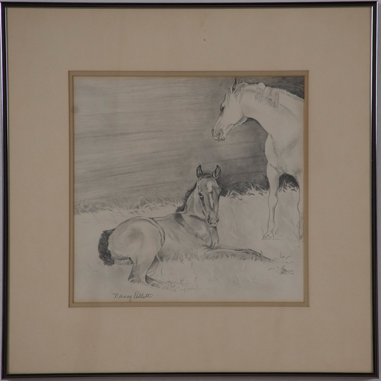 Nancy Pellatt (South Carolina) - 2