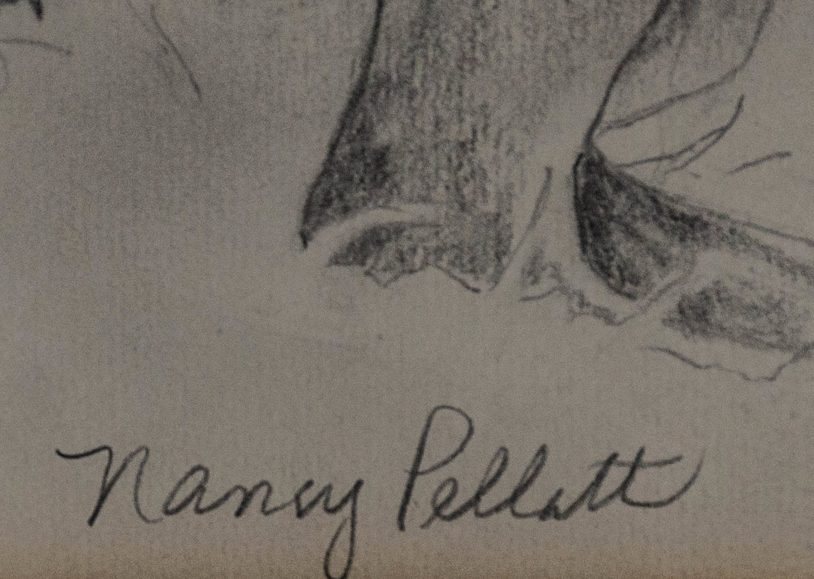 Nancy Pellatt (South Carolina) - 3