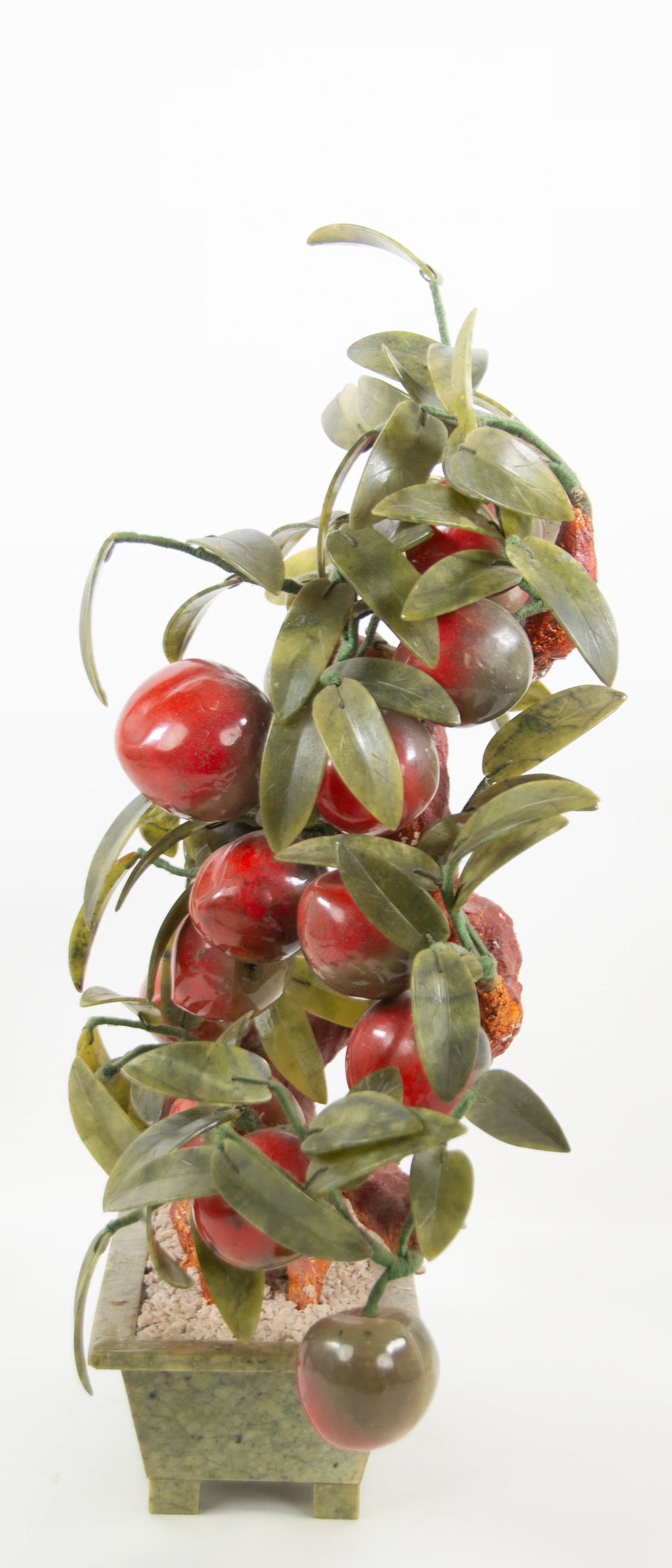 Chinese Peach Tree - 2