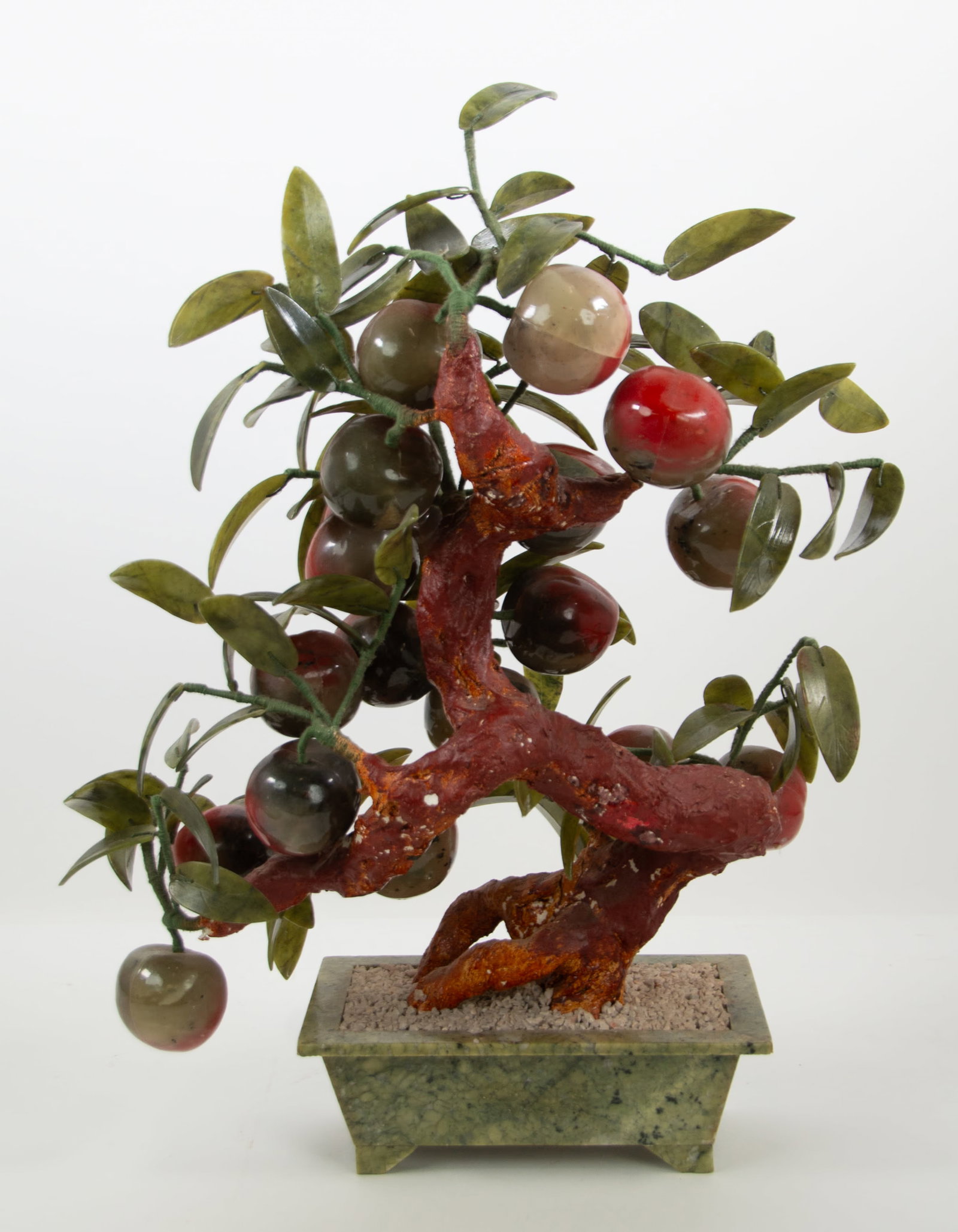 Chinese Peach Tree - 3